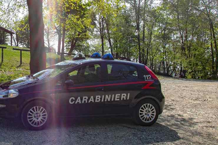 cucciolo lanciato finestrino auto