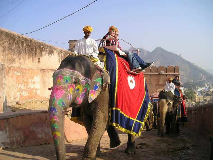 elefanti turismo Thailandia