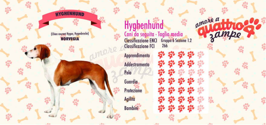 Hyghenhund scheda razza