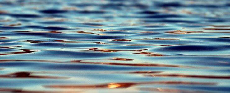 Cane cade in acqua e annega 