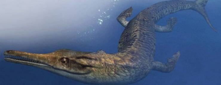 i talattosuchiani: rettili marini preistorici giganteschi