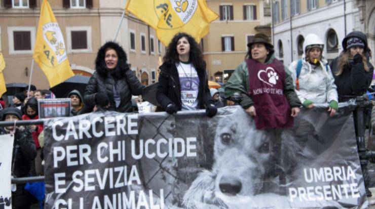 partito animalista roma cavalli carrozzer