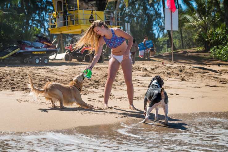 Galateo in spiaggia con il cane