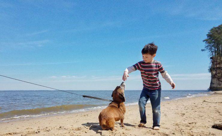 in vacanza con il cane ed i bambini