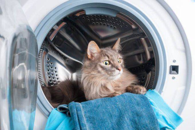 Acchiappapeli Per Lavatrice – 16 Palline Cattura Peli In Spugna E Silicone, Per Cani E Gatti – Proteggono I Vestiti E Il Filtro Della Lavatrice