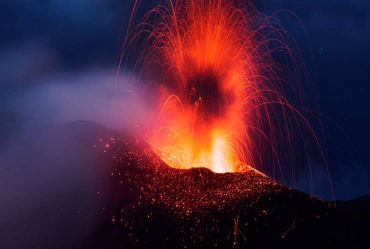 Gli animali prevedono terremoti ed eruzioni vulcaniche