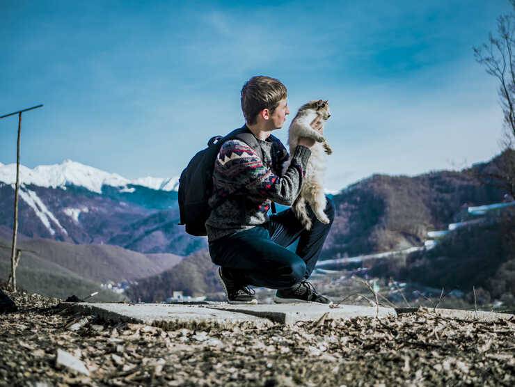 Gatto in montagna (Foto Adobe Stock)