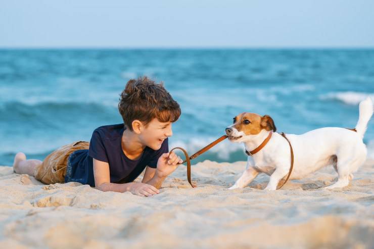 cane e bambino al mare