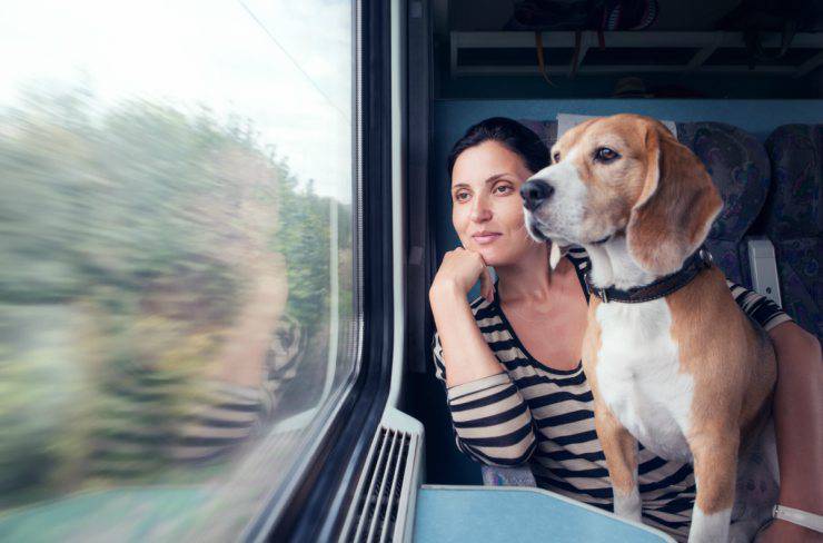 Viaggiare col cane in treno