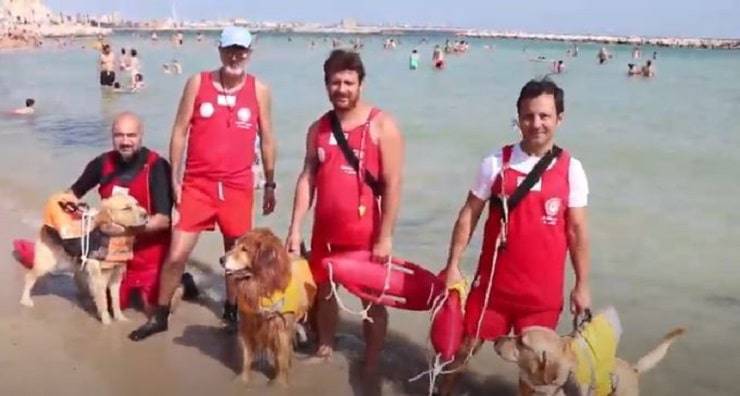 I tre cani bagnino in servizio a Bari nel video dell'estate 2019