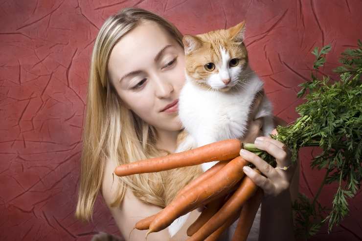 I gatti possono mangiare le carote