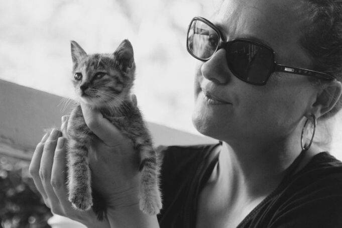 I Gatti Sentono La Mancanza Del Padrone