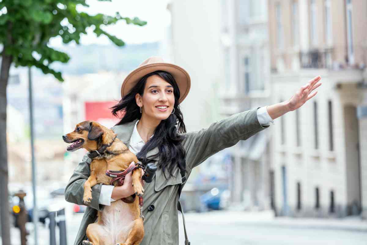 Viaggiare con il cane in taxi