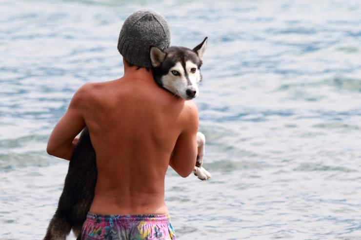 consigli per proteggere il cane in acqua