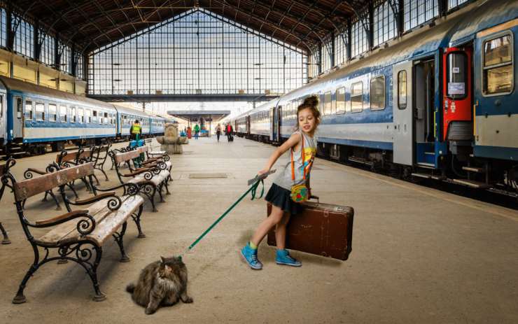 Viaggiare in treno col gatto