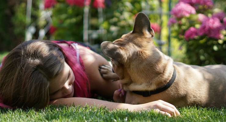 Una ragazza e il suo cane (Foto Pixabay)