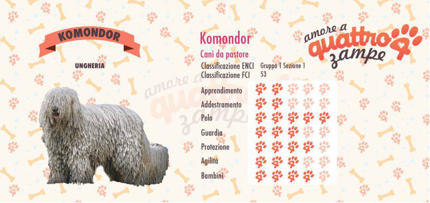 Komondor scheda razza