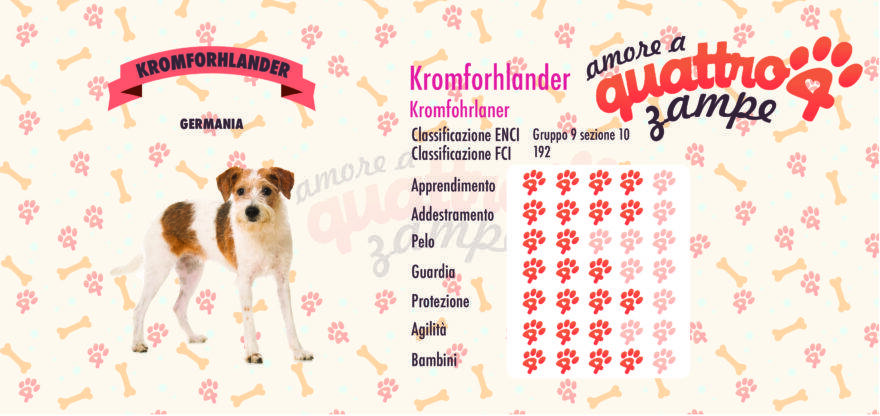 Kromforhlander scheda razza