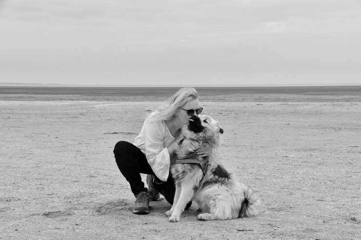 Il cane e la padrona in spiaggia (Foto Pixabay)