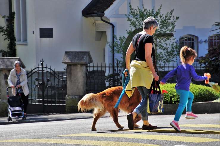 Fido a passeggio