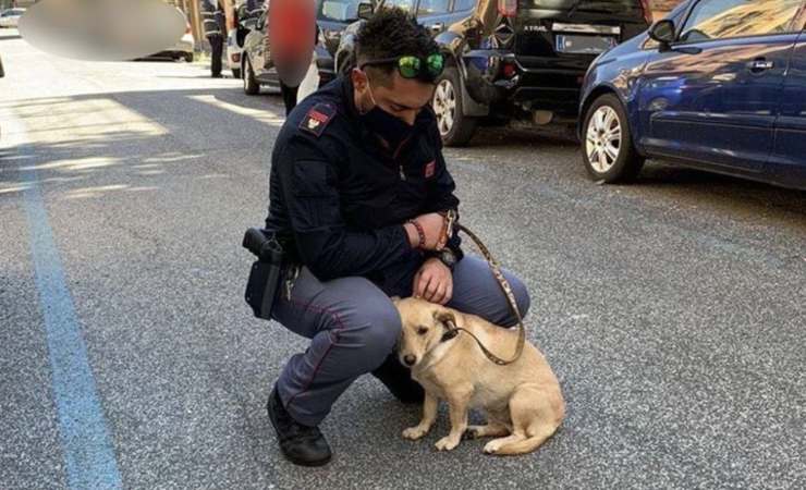 roma poliziotto salva cane