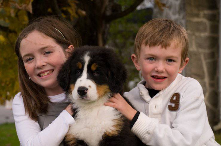 bambini con cane