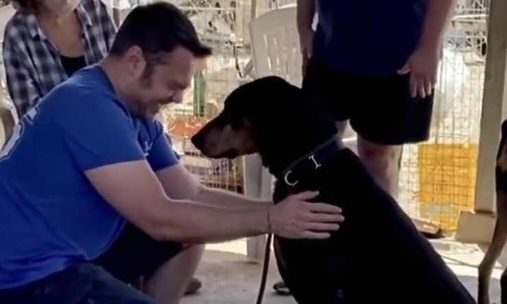 Jake il cane adottato (Foto video)