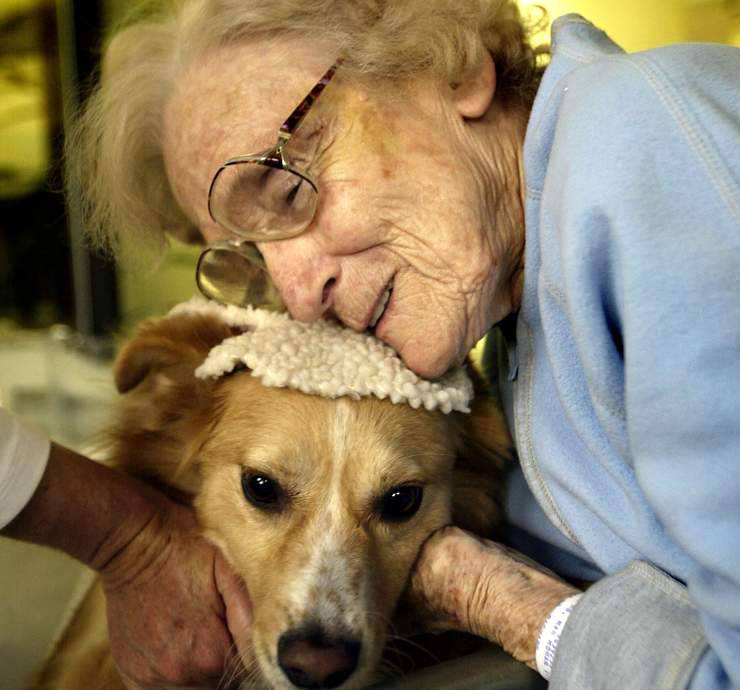 giornata mondiale del cane bene comune