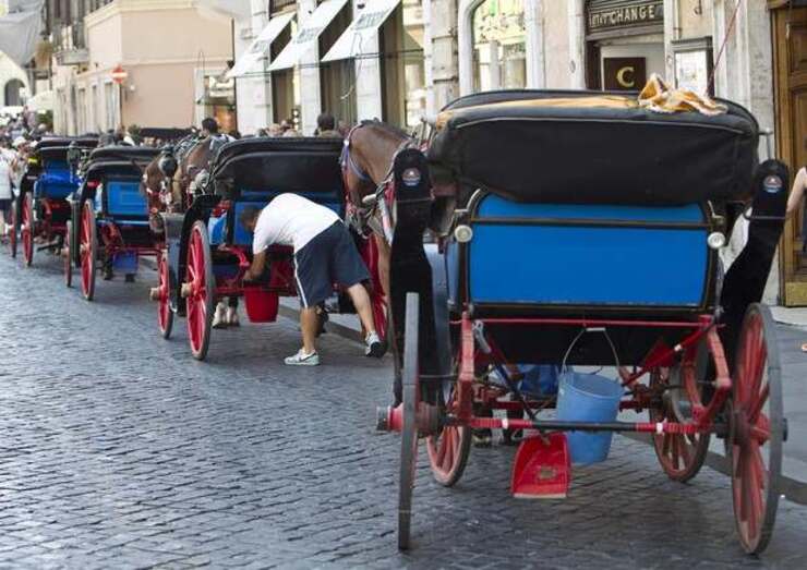 Botticelle a Roma