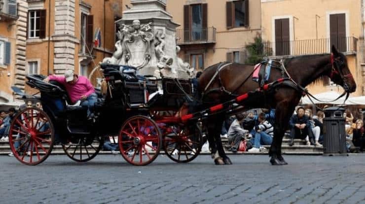 Botticelle a Roma 