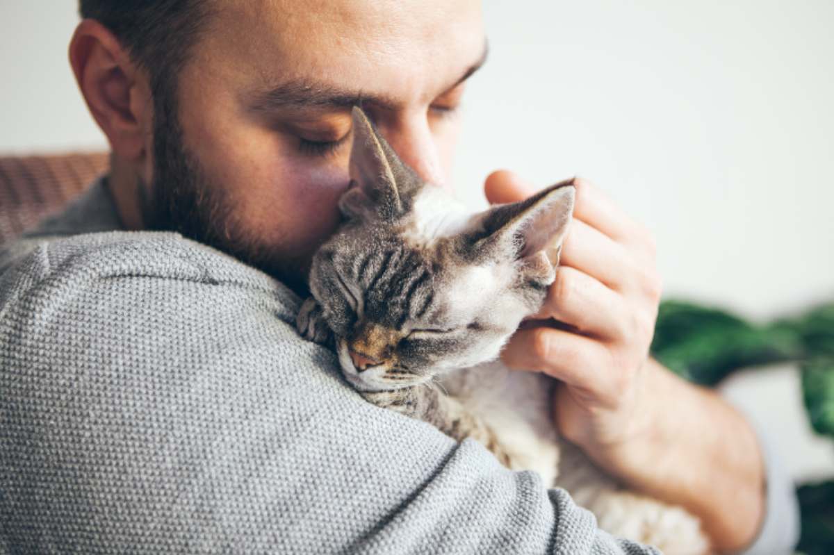 Gatto Che Dorme Addosso Al Padrone