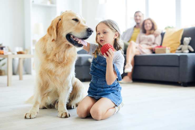 insegnare al cane i nomi degli oggetti