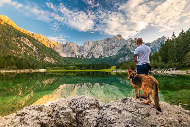 portare il cane in montagna