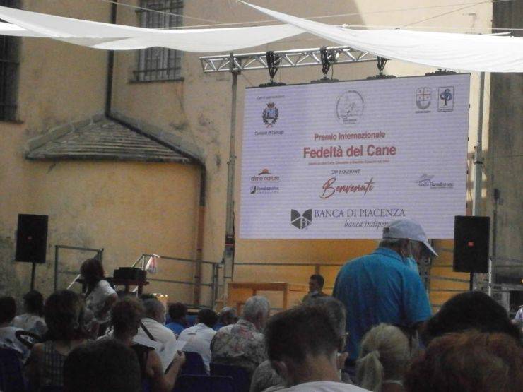 premio fedeltà del cane