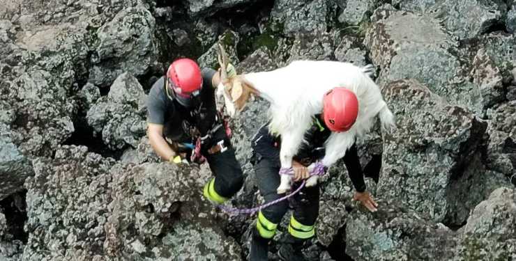 caprette vigili del fuoco voragine