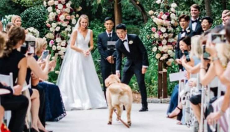 Al Matrimonio Si Grida Agli Sposi