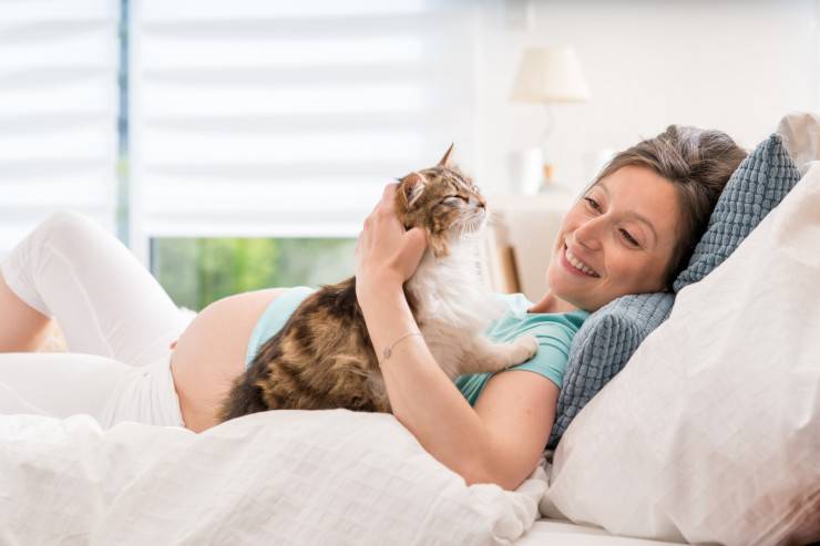 mujer embarazada gato