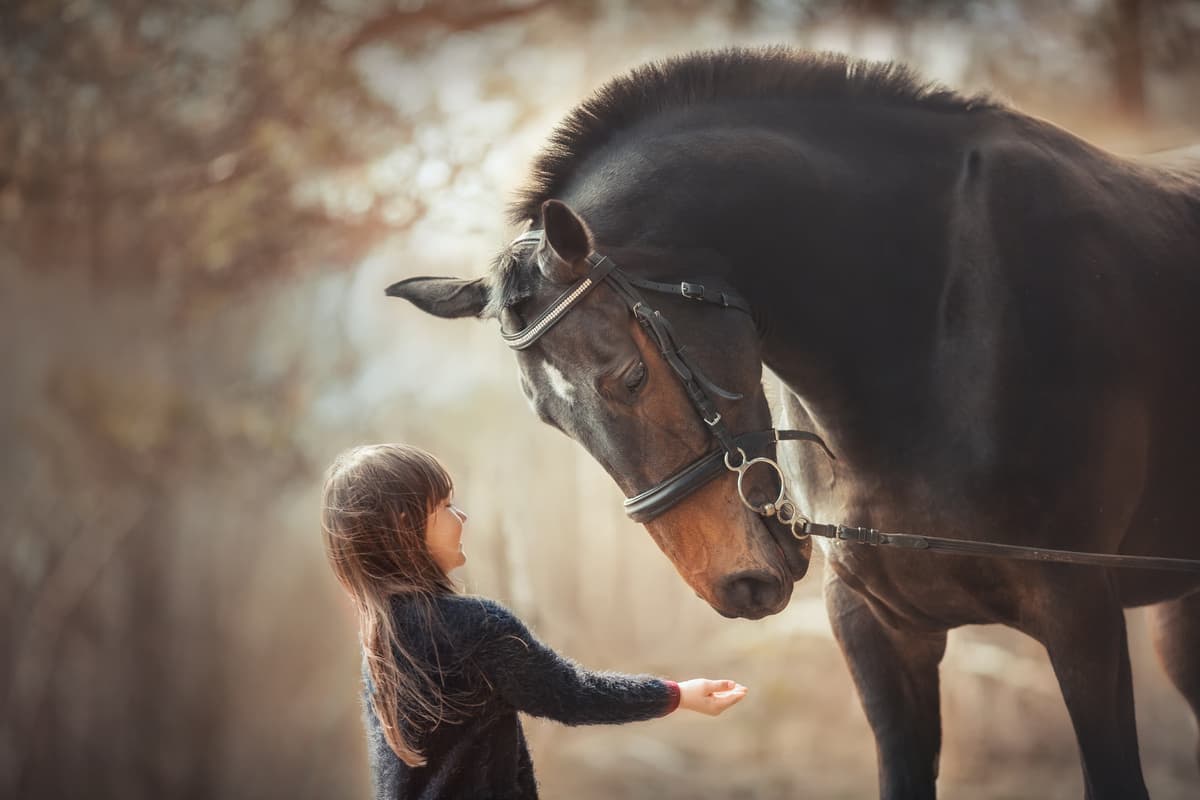 Empatia del cavallo (Foto Adobe Stock)