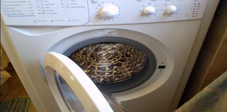 Pitone dentro la lavatrice