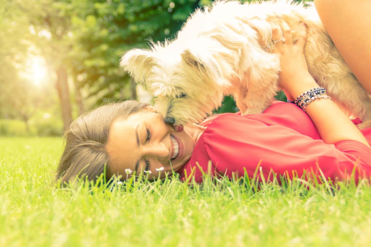 Come essere un buon padrone per il cane i consigli migliori