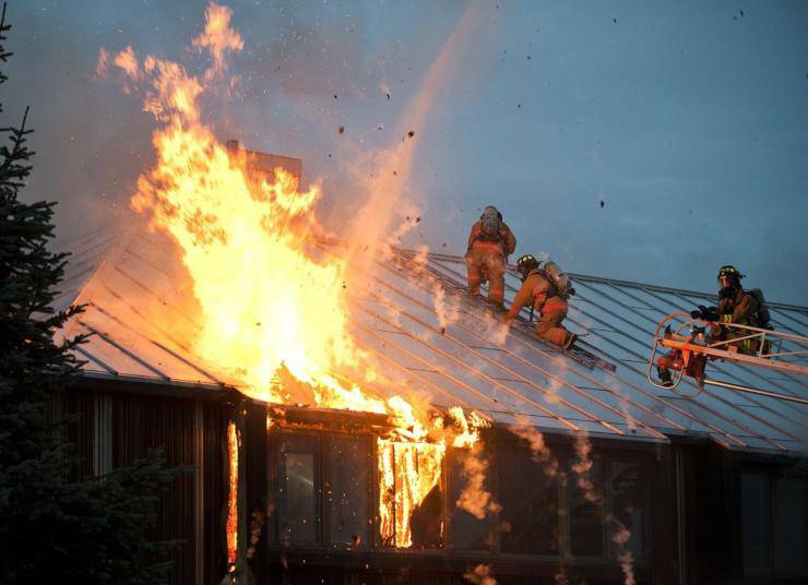 cane salvato casa incendio