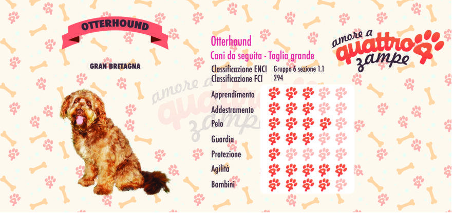 Otterhound scheda razza