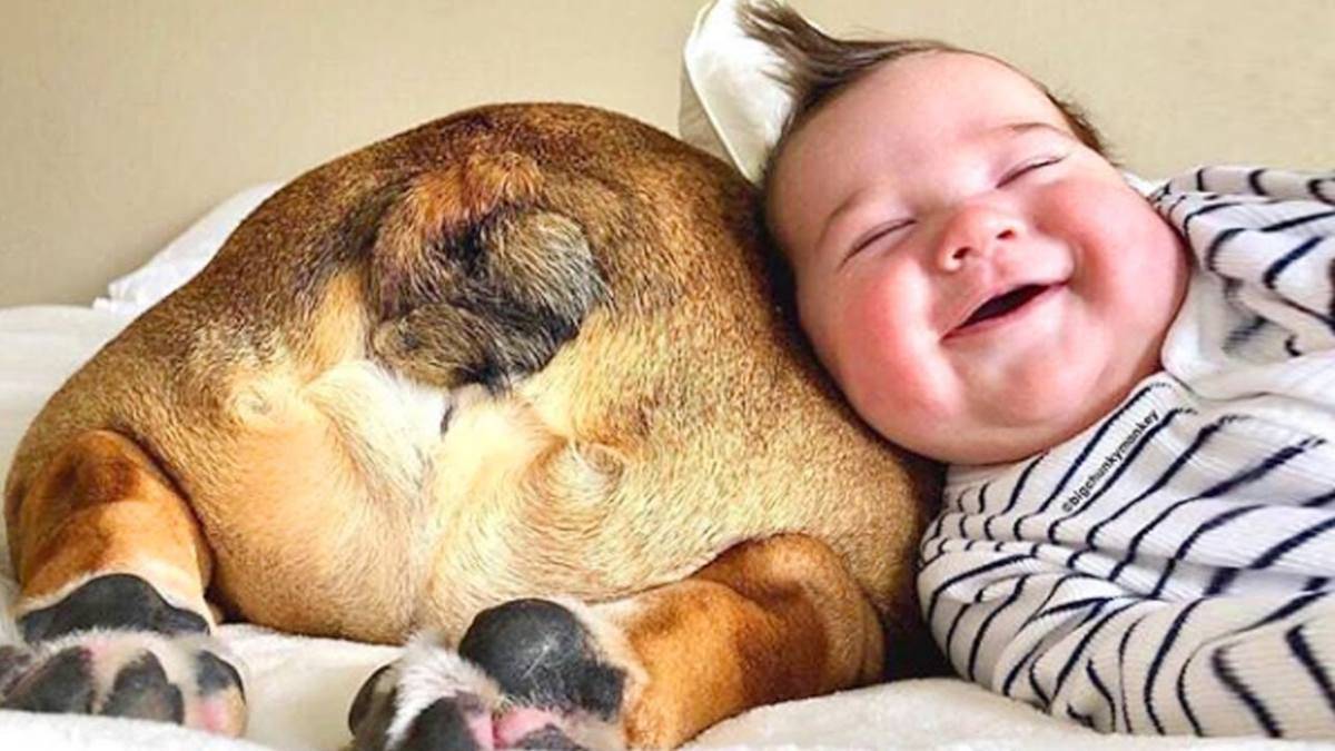 Presentare al cane il nostro bambino: come iniziare una vita insieme