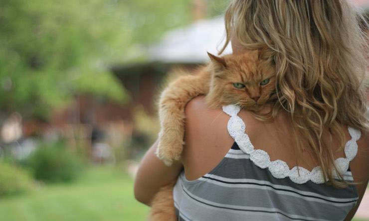 Gatto in braccio alla sua proprietaria 