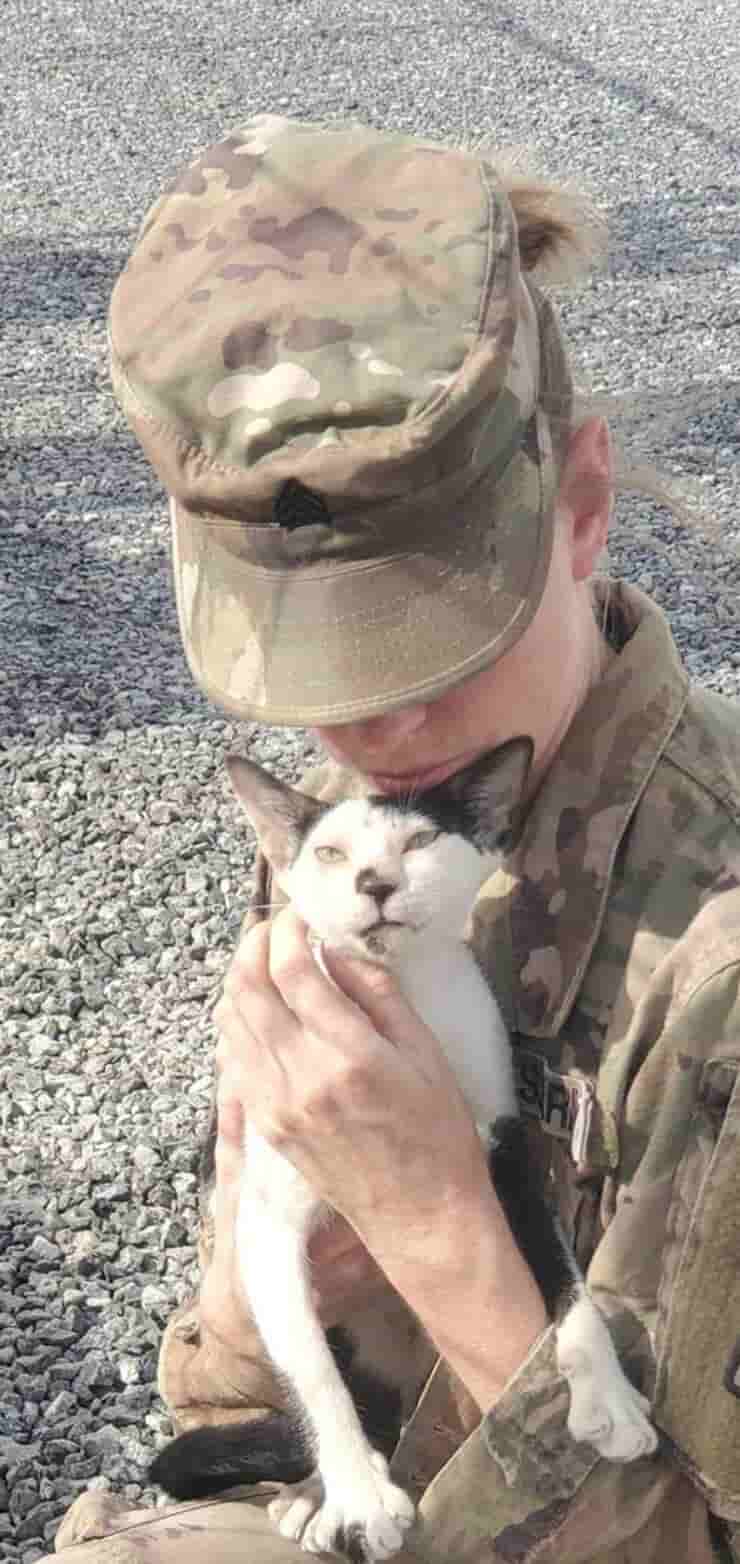 Il sergente Etter con uno dei gatti