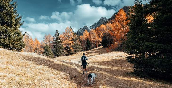 Cane ch e fa trekking con padrone