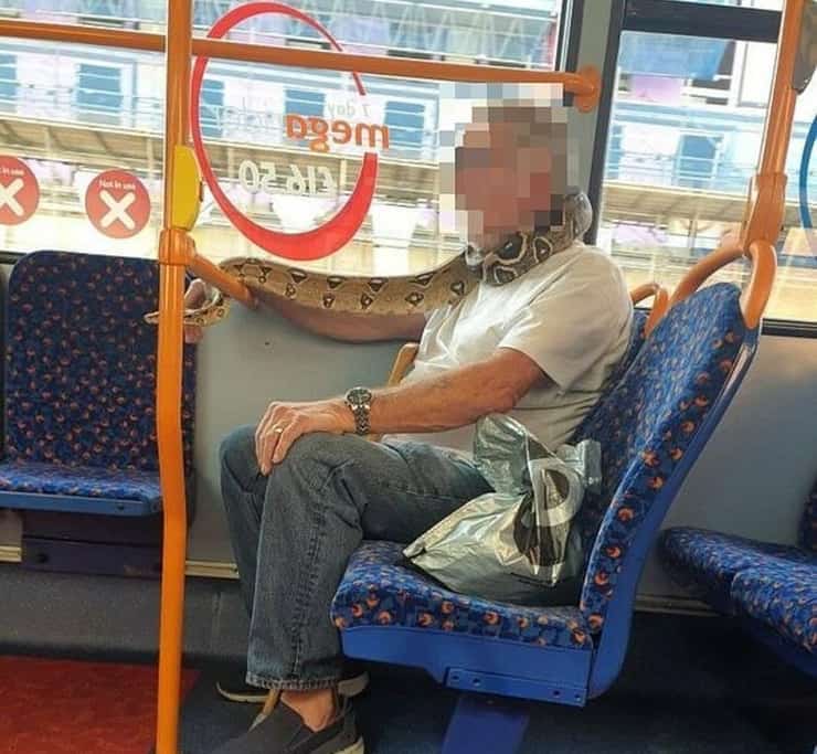 Uomo sull'autobus "indossa" un serpente vivo al posto della mascherina