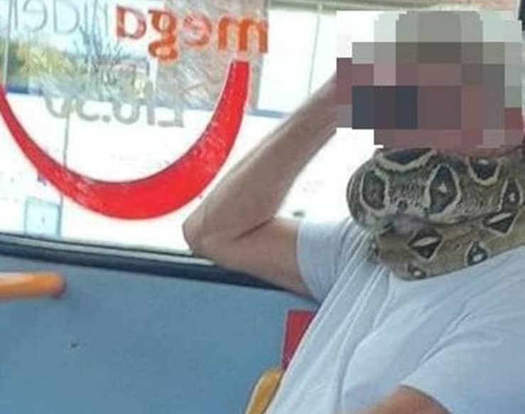 Uomo sull'autobus "indossa" un serpente vivo al posto della mascherina