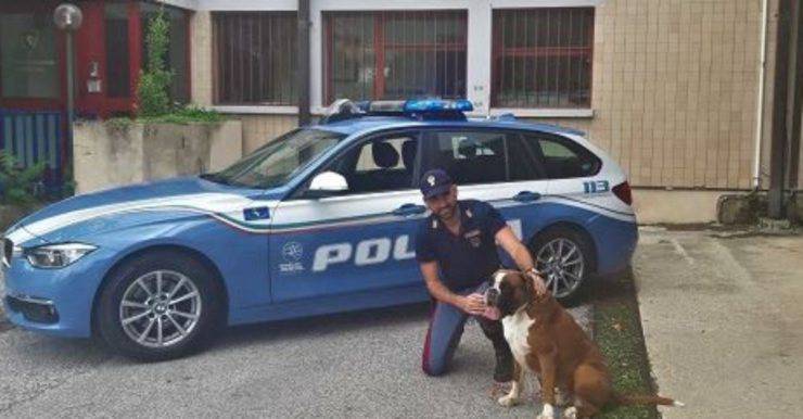 cane abbandonato autostrada polizia