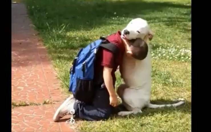cane abbraccia padroncino scuola